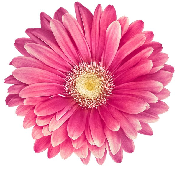 Sommerkollektion ⛱️🌞